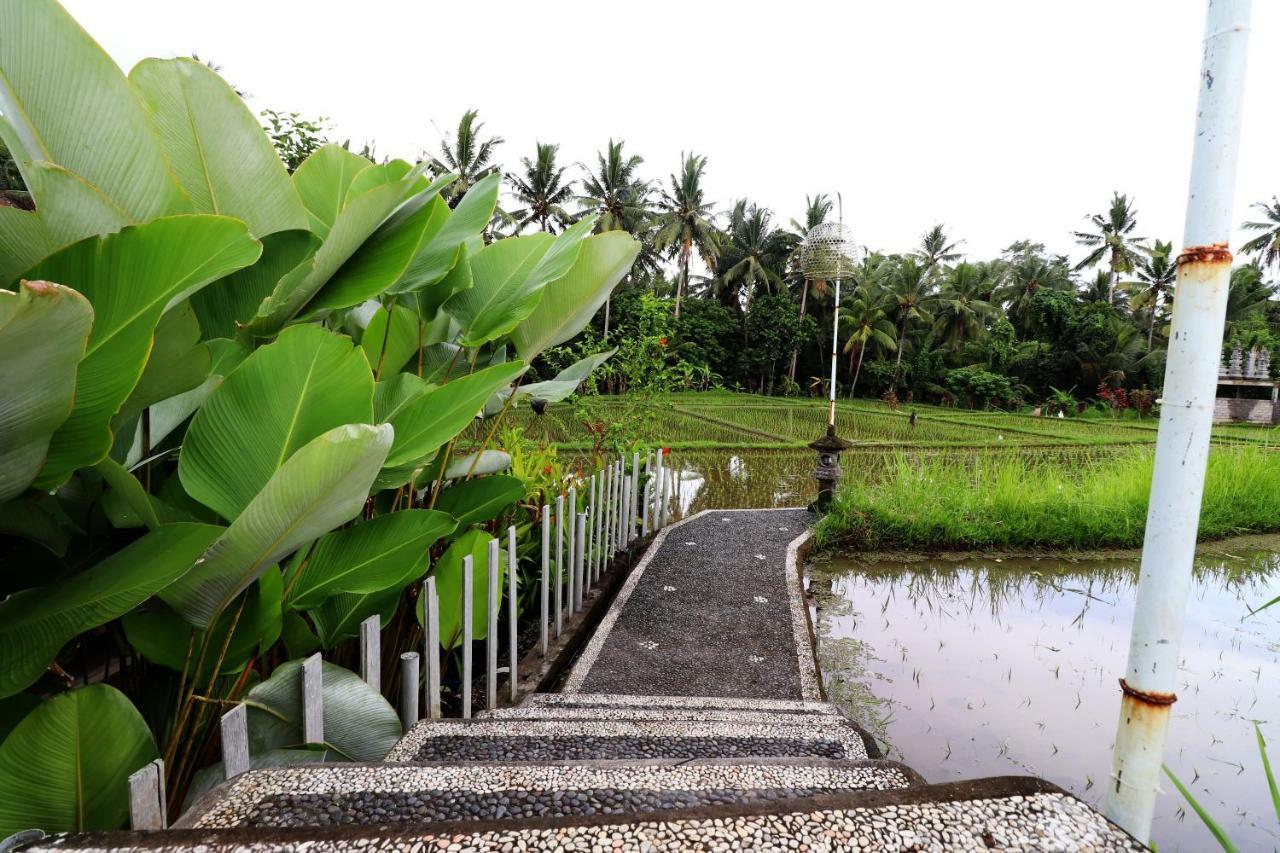 Villa Tirta Padi 2 Ubud Eksteriør bilde