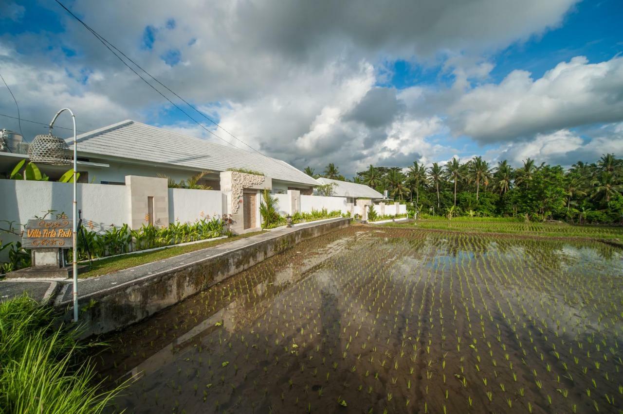 Villa Tirta Padi 2 Ubud Eksteriør bilde